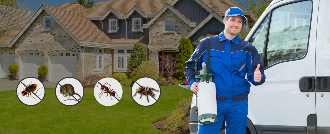 Pest Control Vaughan | Pest Removal & Extermination Services