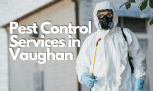 Types of Pest Control Services in Vaughan
