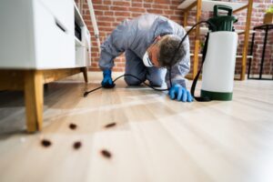 Why Pest Control in Toronto is Vital for Your Commercial Spaces