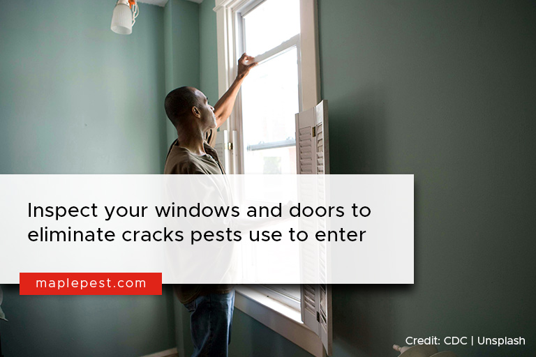 Inspect your windows and doors to eliminate cracks pests use to enter