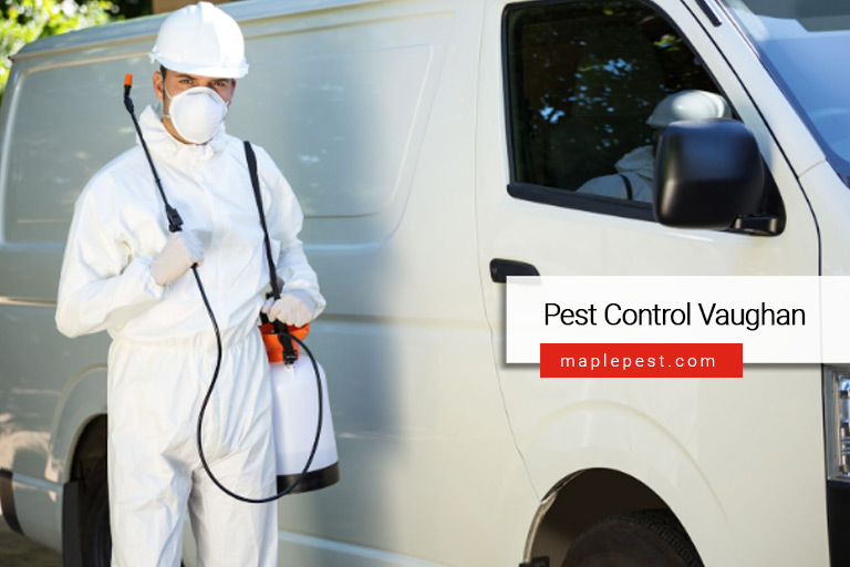 Pest Control Vaughan