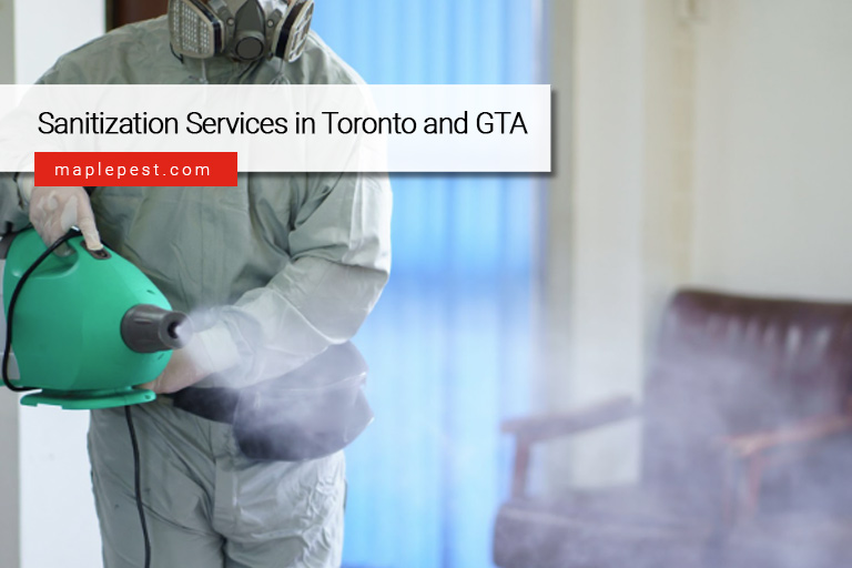 Sanitization Services in Toronto and GTA