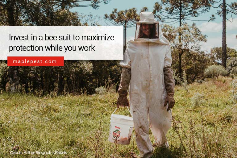 Invest in a bee suit to maximize protection while you work