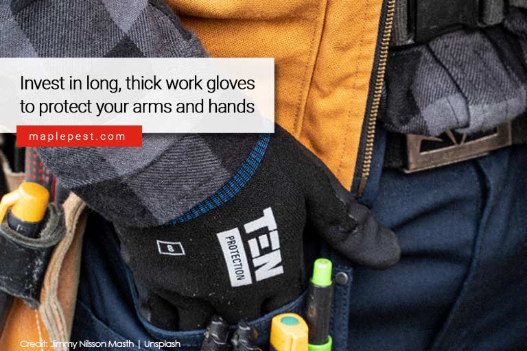 Invest in long, thick work gloves to protect your arms and hands