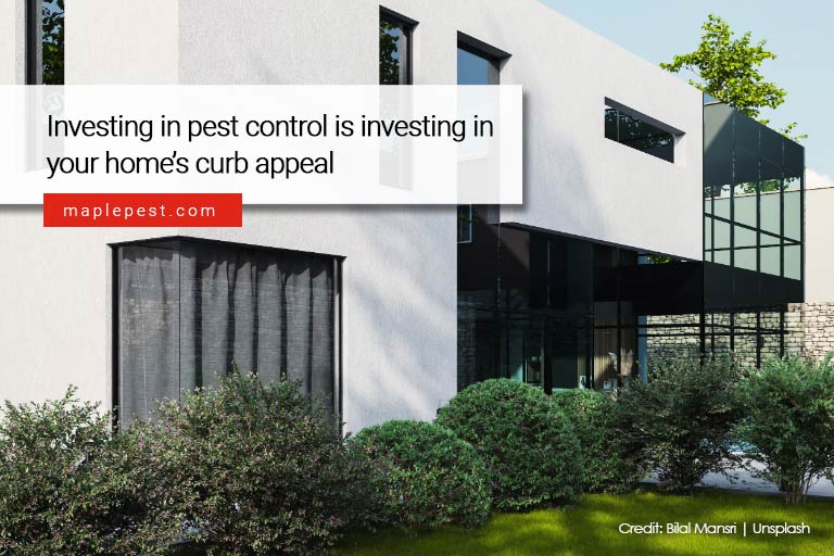 Investing in pest control is investing in your home’s curb appeal