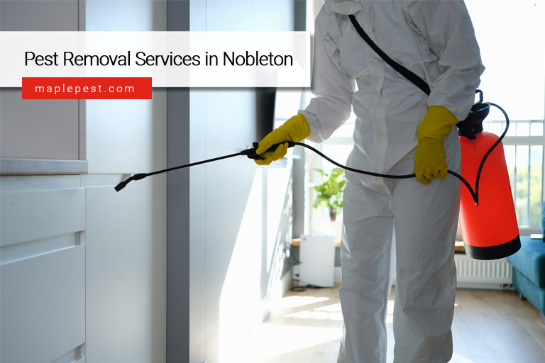 Pest Removal Services in Nobleton