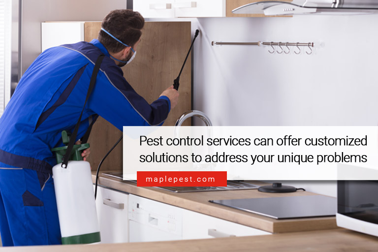 Pest control services can offer customized solutions to address your unique problems