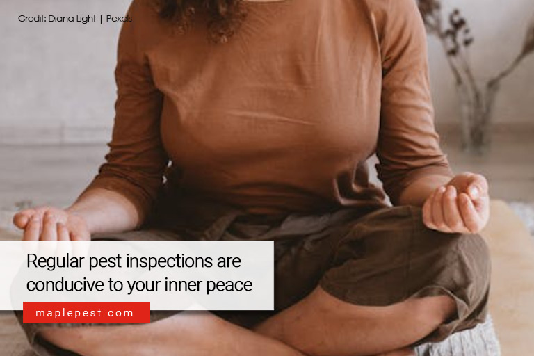 Regular pest inspections are conducive to your inner peace