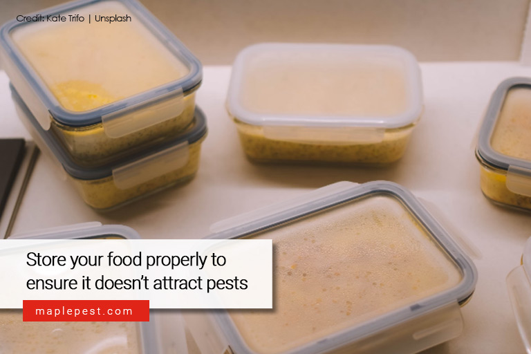 Store your food properly to ensure it doesn’t attract pests