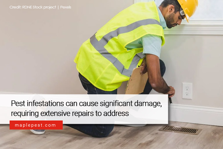 Pest infestations can cause significant damage, requiring extensive repairs to address