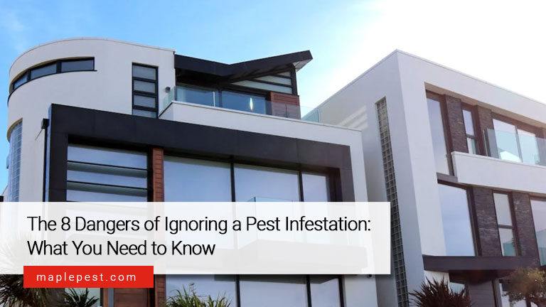 The 8 Dangers of Ignoring a Pest Infestation: What You Need to Know