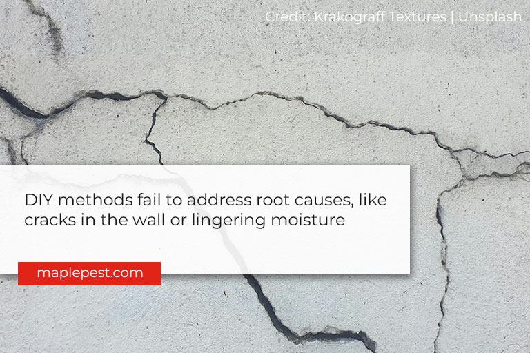 DIY methods fail to address root causes, like cracks in the wall or lingering moisture