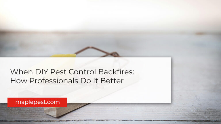 When DIY Pest Control Backfires: How Professionals Do It Better